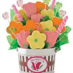 Large Mother's Day Cookie and Candy Flower Pot