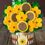 Beauty in bloom: Fun facts about sunflowers