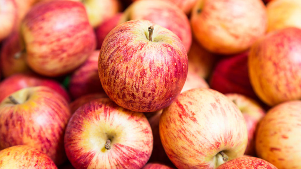 Photo of gala apples