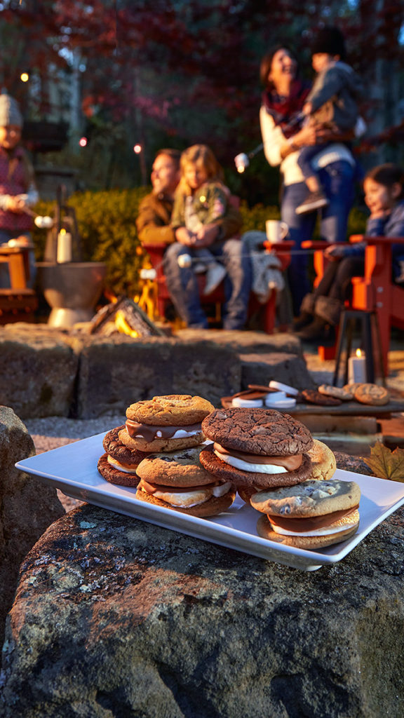 Photo of s'mores with cookies