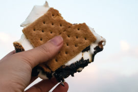 Photo of a s'more