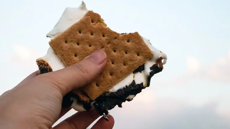 Photo of a s'more