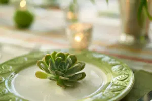 Photo of succulent place setting