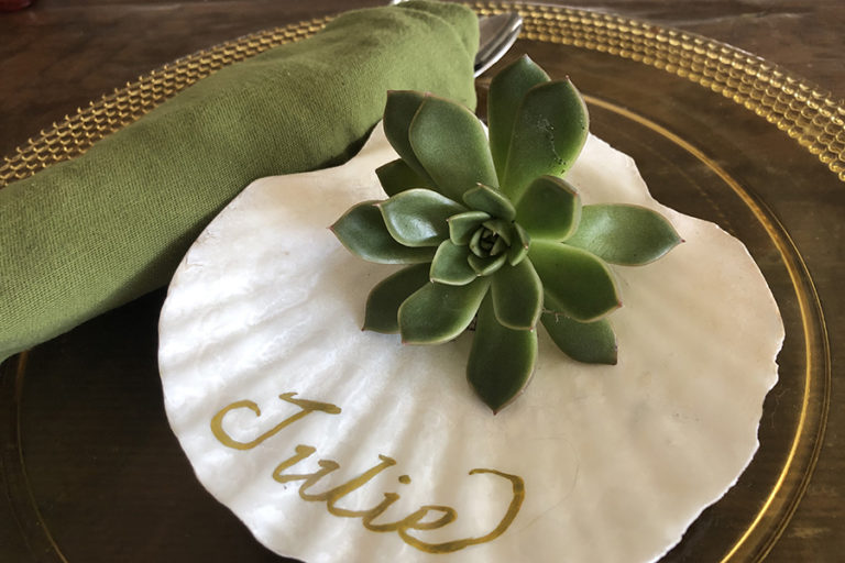 Photo of a sea shell place setting