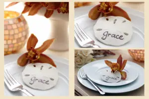 Photo of sand dollar shell place setting