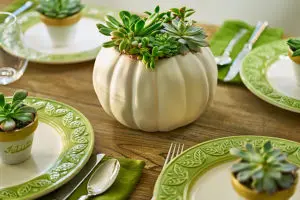 Photo of succulent place setting