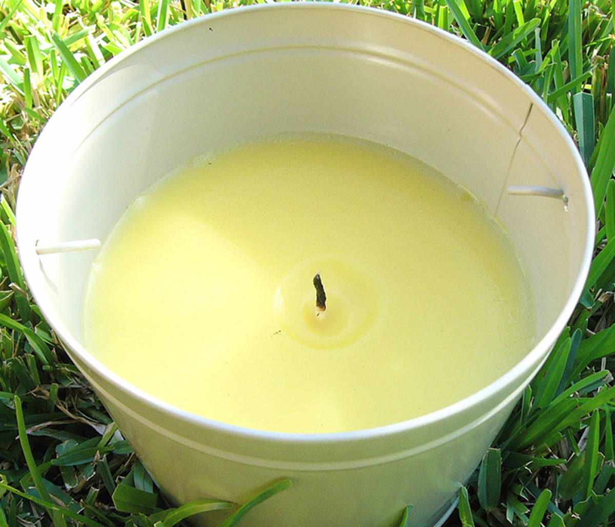 Photo of citronella candle in a pail
