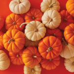 11 Facts About Pumpkins That Will Have You Saying ‘Oh My Gourd!’