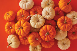 Photo of pumpkins in a pile