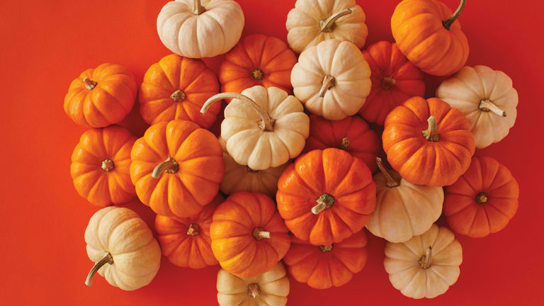 Photo of pumpkins in a pile