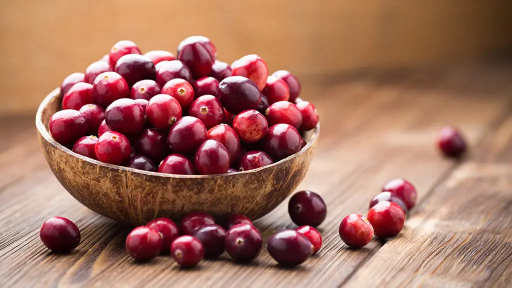 Photo of cranberries in a bowl