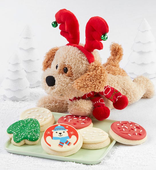 Photo of musical dancing puppy plush with cookies