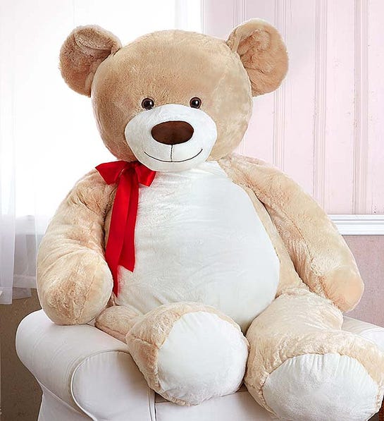 Valentine's Day Gifts for New Couples with stuffed bear