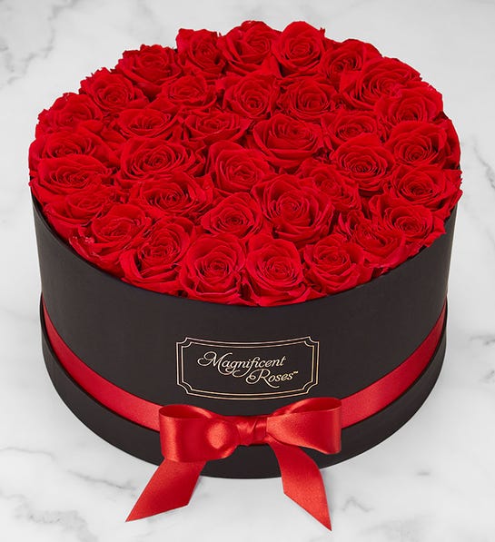 romantic Valentine's Day gifts: preserved red roses