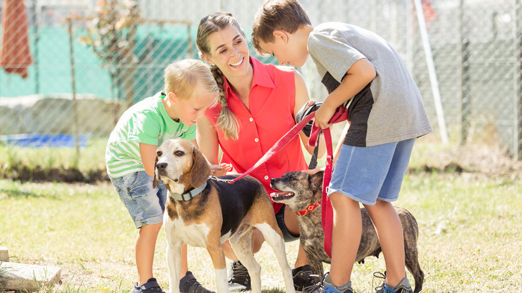 random-acts-of-kindness-day: kids with animals