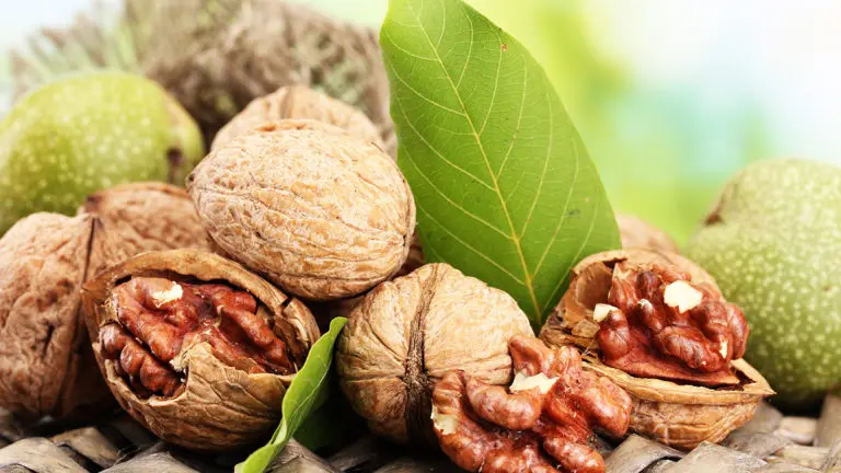 facts-about-walnuts: shelled and deshelled walnuts