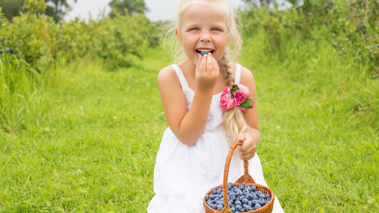 facts-about-blueberries: girl eating blueberries