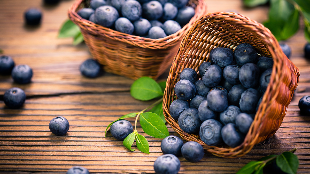 facts-about-blueberries: blueberries in baskets