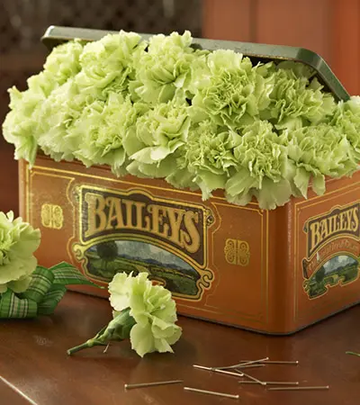 st. patrick's day celebration: green carnation boutonnieres