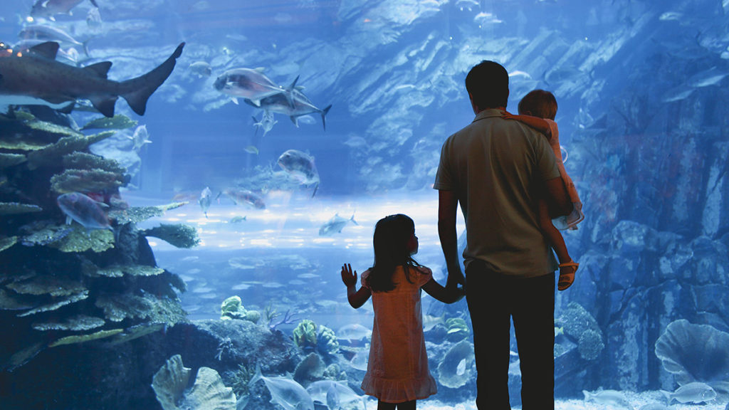winter-bucket-list-ideas: family at aquarium