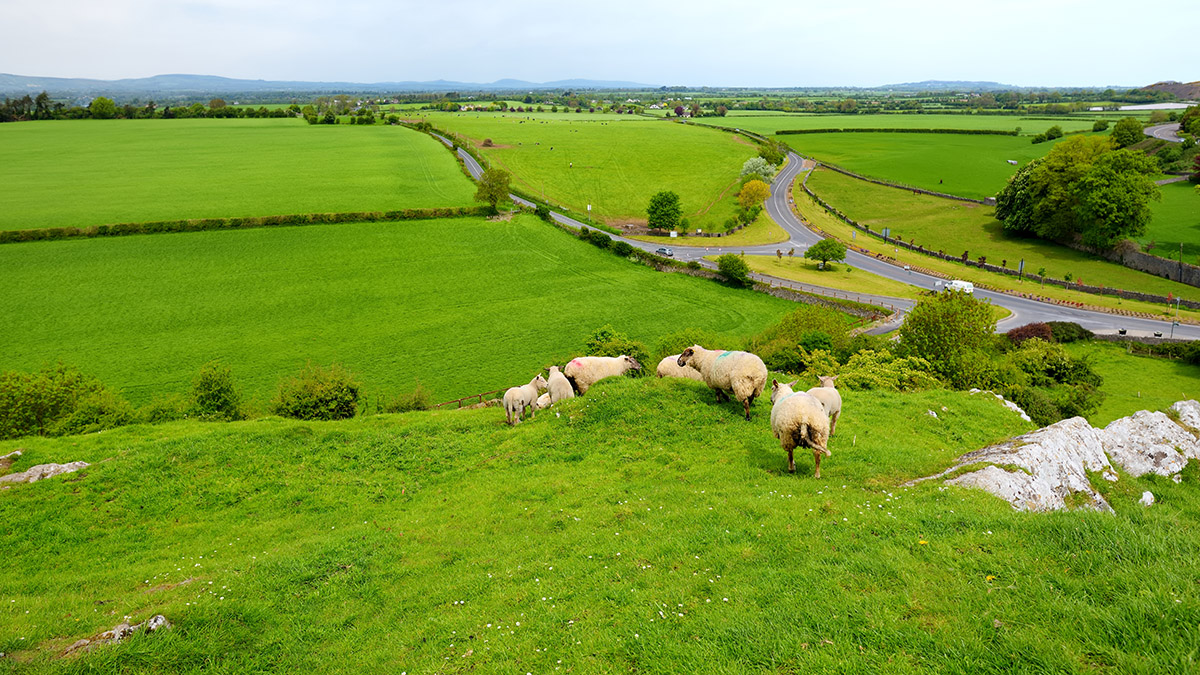 st. patrick's day: irish countryside