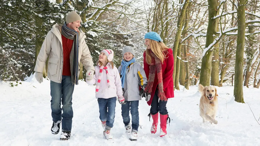 winter-bucket-list-ideas: family taking a winter walk