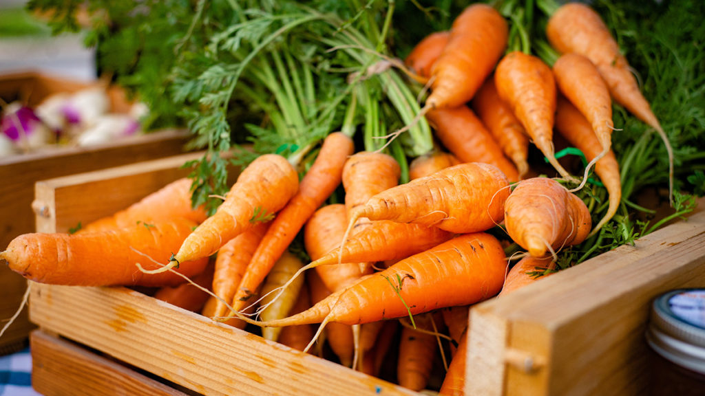 history of carrots: carrots in a basket