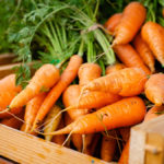 history of carrots: carrots in a basket