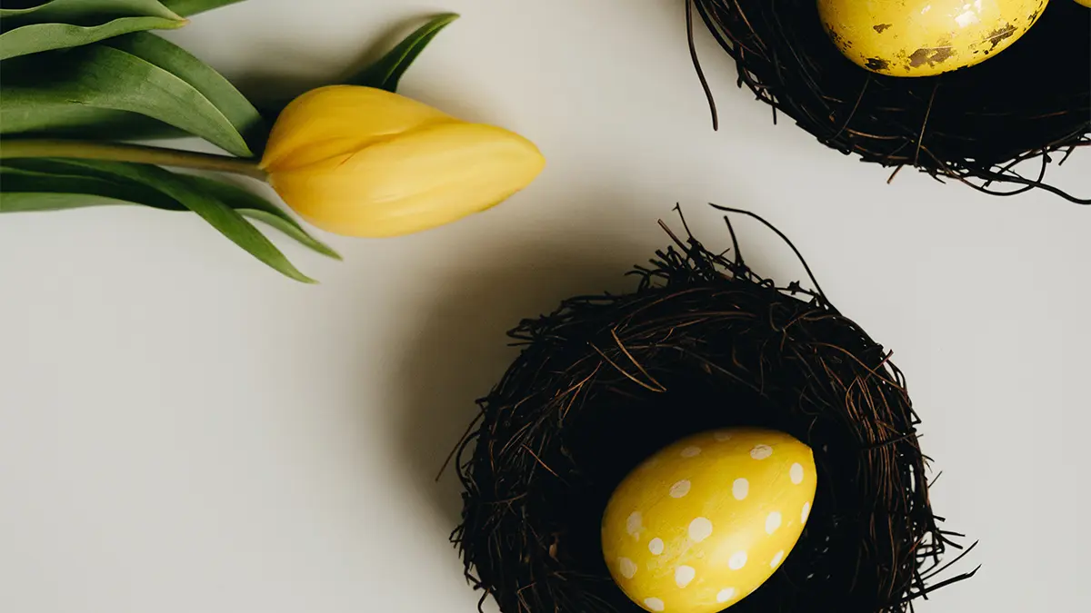 Easter egg designs with polka dot easter eggs