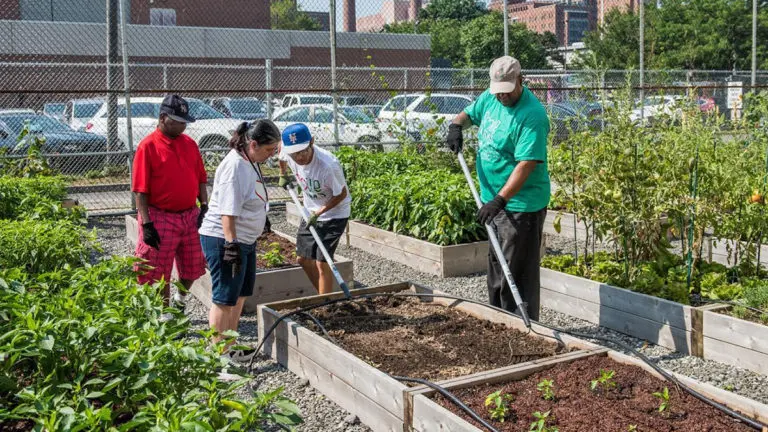 a photo of the history of smile farms: farmers at work