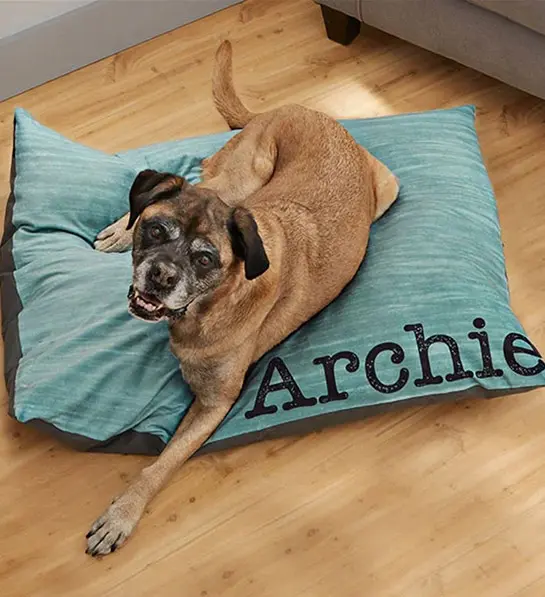 a photo of 50th birthday gift ideas: personalized dog bed
