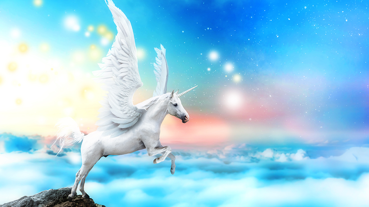 Datos sobre unicornios con un unicornio volando sobre las nubes.