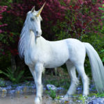 10 Magical Facts About Unicorns