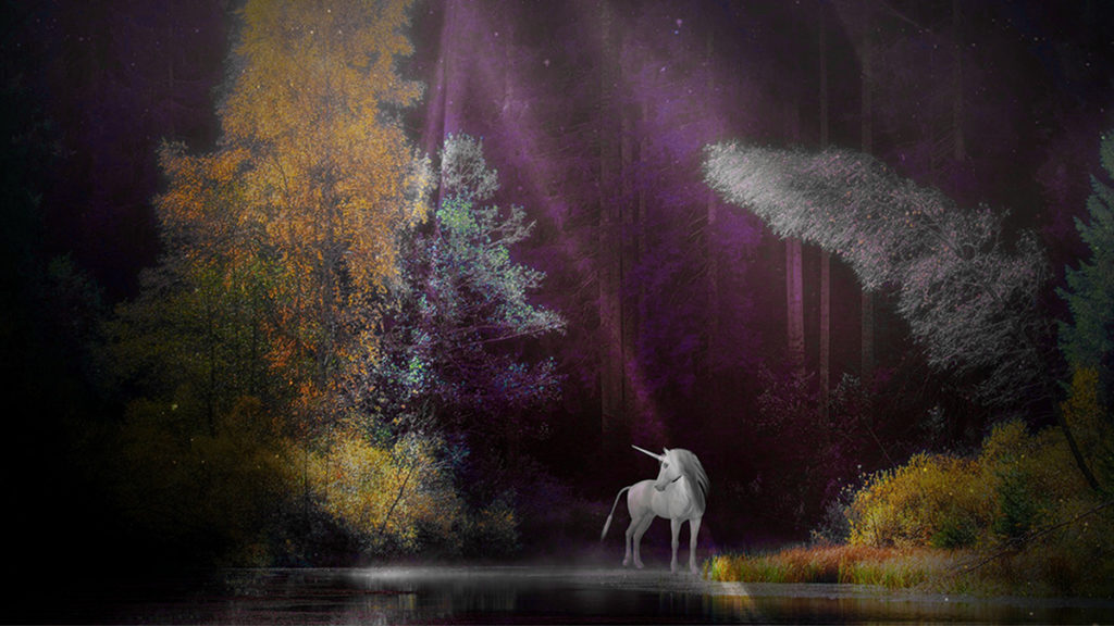 photo of facts about unicorns with a unicorn in the forest