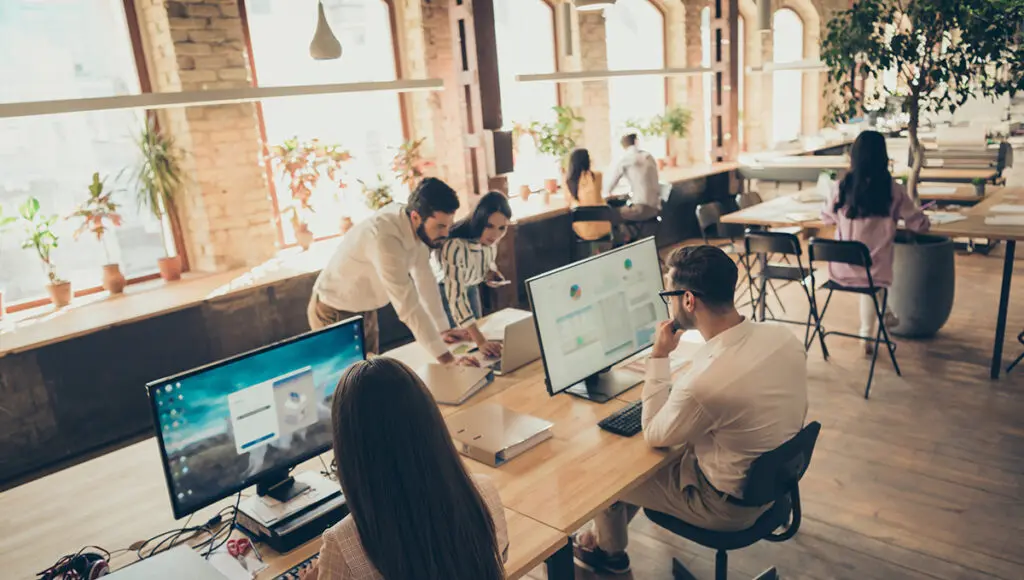 brighten up office space with coworkers working at computers