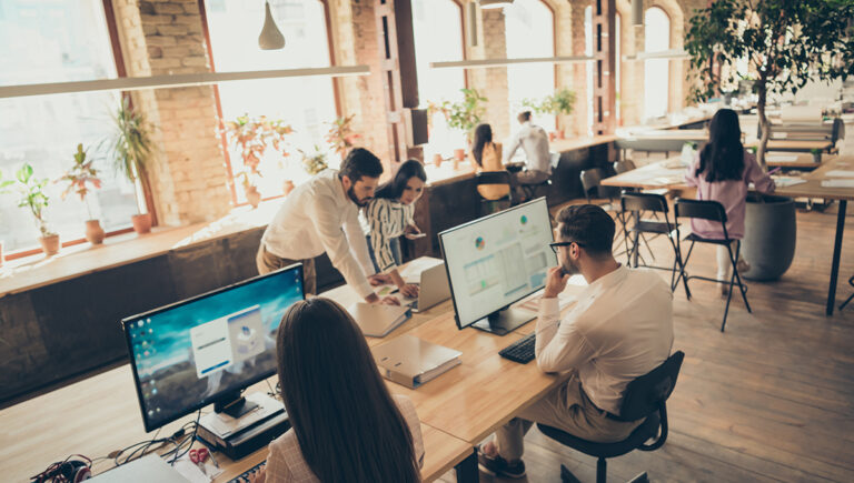 brighten up office space with coworkers working at computers