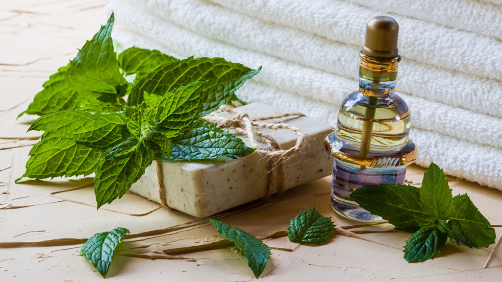 history of peppermint medicinal peppermint