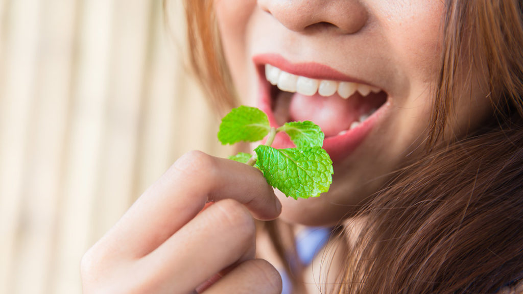 history of peppermint woman eating mint leaves
