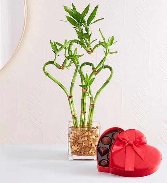 romantic valentines day gifts sweetheart bamboo